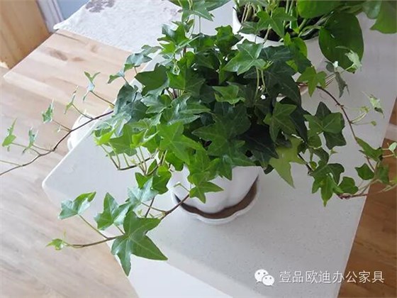 輕松解決辦公室內各種污染！