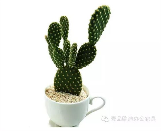 輕松解決辦公室內各種污染！