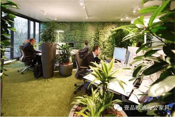 為什么辦公室里一定要養植物？-壹品歐迪辦公家具