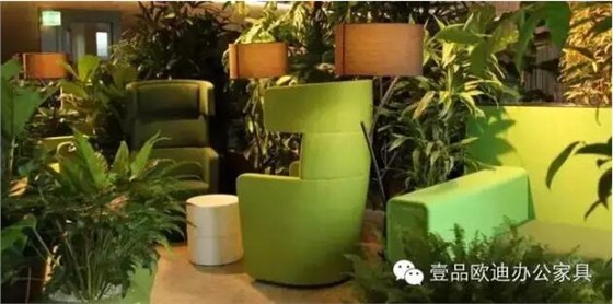 為什么辦公室里一定要養植物？-壹品歐迪辦公家具