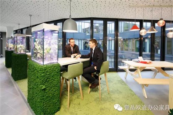 為什么辦公室里一定要養植物？-壹品歐迪辦公家具
