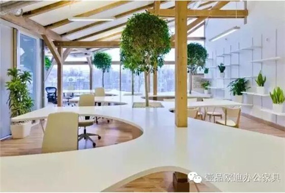 為什么辦公室里一定要養植物？-壹品歐迪辦公家具