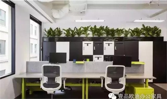 為什么辦公室里一定要養植物？-壹品歐迪辦公家具