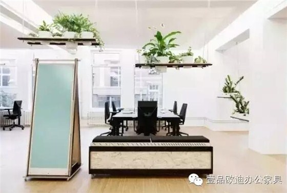 為什么辦公室里一定要養植物？-壹品歐迪辦公家具