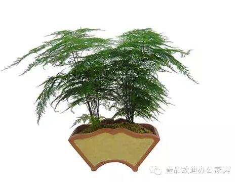 輕松解決辦公室內各種污染！