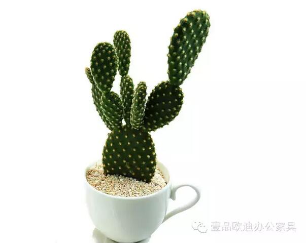 輕松解決辦公室內各種污染！