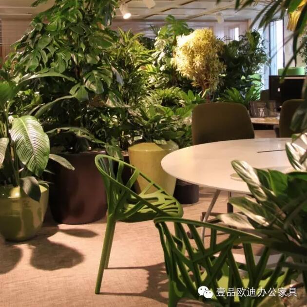 為什么辦公室里一定要養植物？-壹品歐迪辦公家具