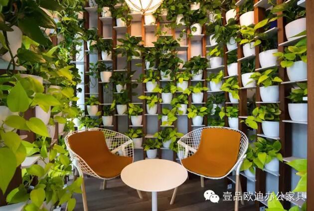 為什么辦公室里一定要養植物？-壹品歐迪辦公家具