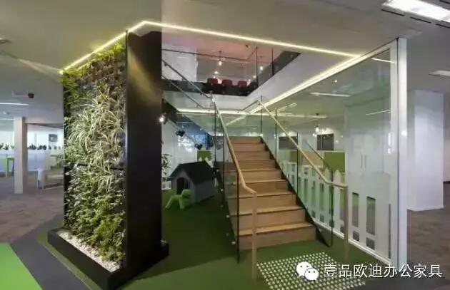 為什么辦公室里一定要養植物？-壹品歐迪辦公家具