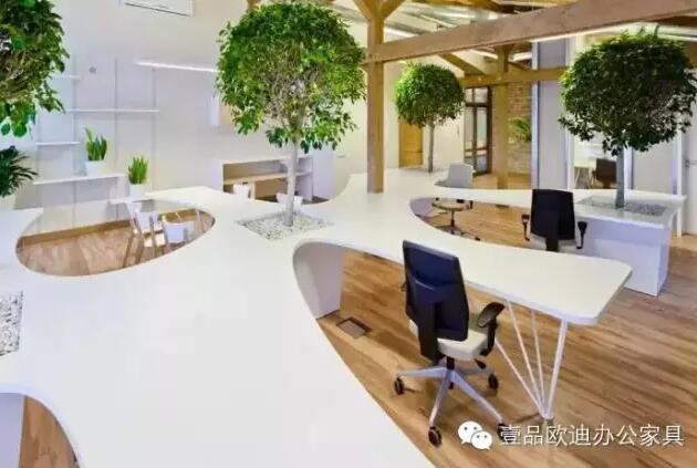 為什么辦公室里一定要養植物？-壹品歐迪辦公家具