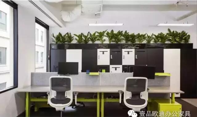 為什么辦公室里一定要養植物？-壹品歐迪辦公家具