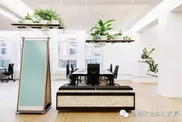 為什么辦公室里一定要養植物？-壹品歐迪辦公家具